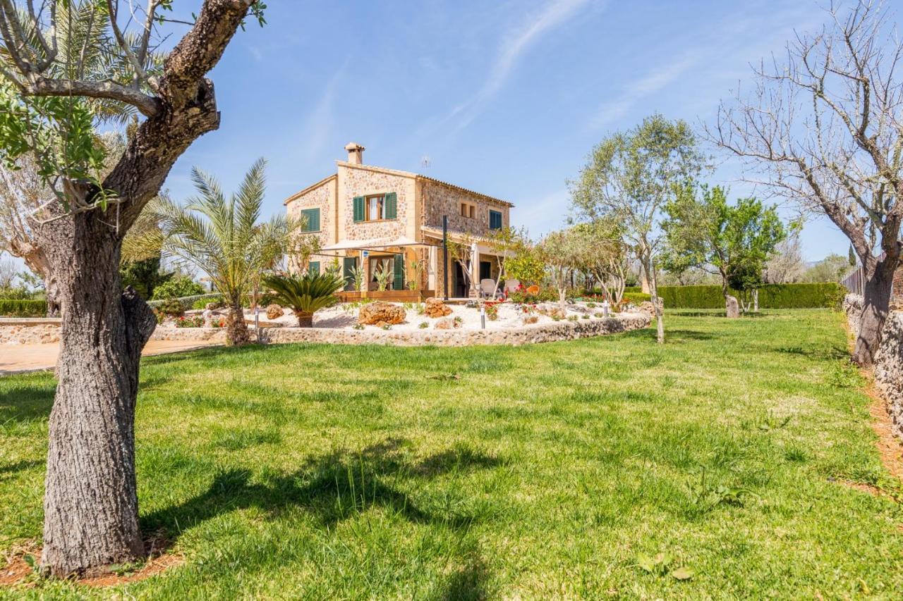 Alfabia Villa Inca  Phòng bức ảnh