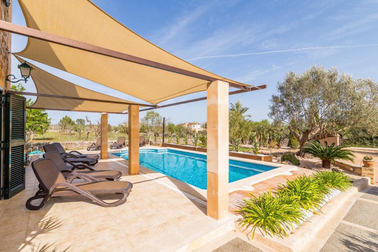 Alfabia Villa Inca  Phòng bức ảnh