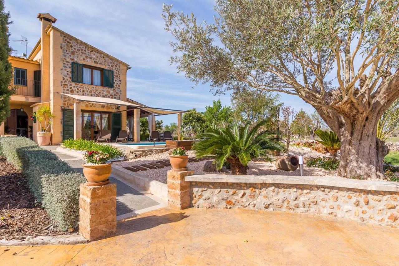 Alfabia Villa Inca  Phòng bức ảnh