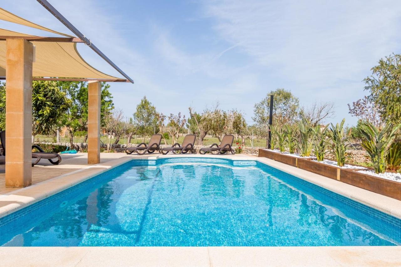 Alfabia Villa Inca  Phòng bức ảnh