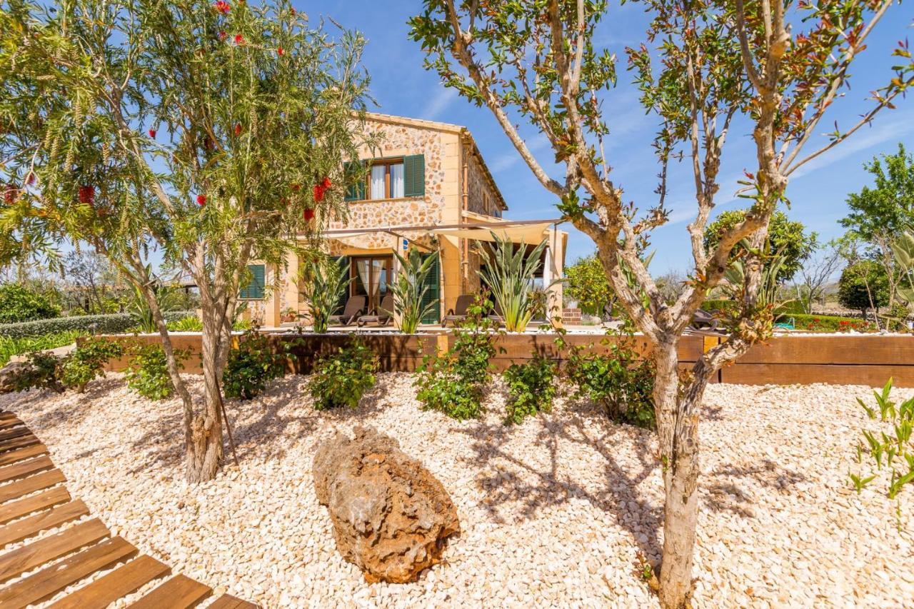 Alfabia Villa Inca  Phòng bức ảnh